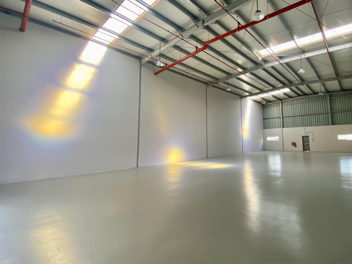 The Shed Ned Properties